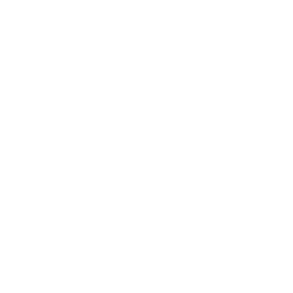 baerskin-no-bs-tees-logo-white-square-transparent